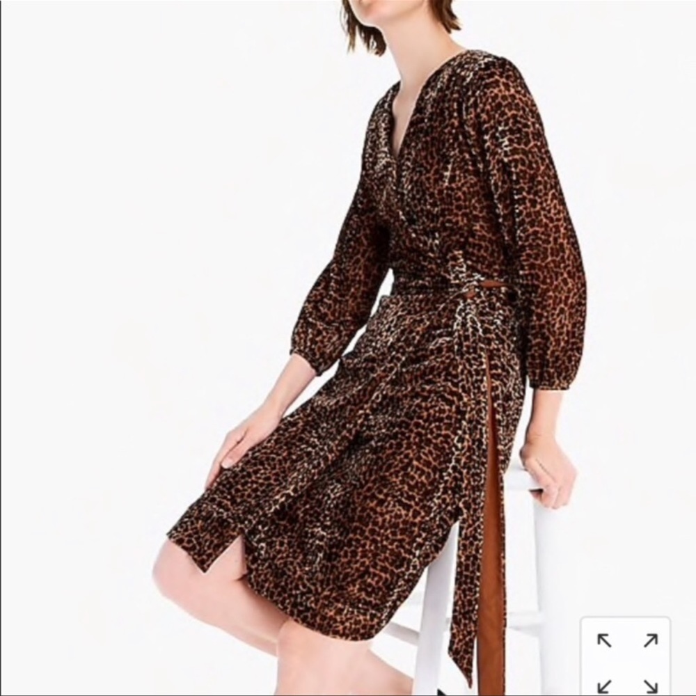 J. Crew Brown Leopard Print Long Sleeve Dress